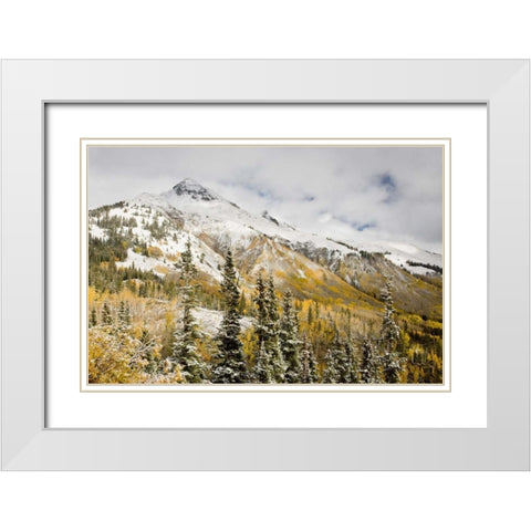 CO, Uncompahgre NF Mountain and aspens in autumn White Modern Wood Framed Art Print with Double Matting by Grall, Don