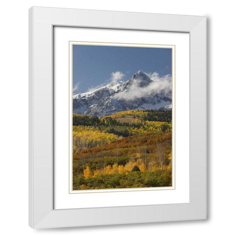 CO, San Juan Mts, Uncompahgre NF Autumn forest White Modern Wood Framed Art Print with Double Matting by Grall, Don