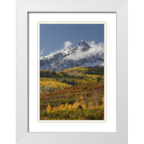 CO, San Juan Mts, Uncompahgre NF Autumn forest White Modern Wood Framed Art Print with Double Matting by Grall, Don