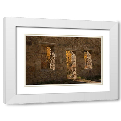 CO, Central City Aspen inside abandoned building White Modern Wood Framed Art Print with Double Matting by Grall, Don