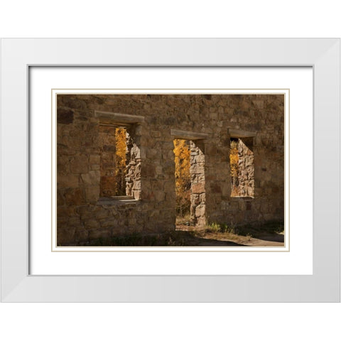 CO, Central City Aspen inside abandoned building White Modern Wood Framed Art Print with Double Matting by Grall, Don