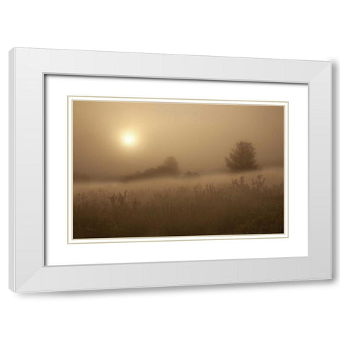 CO, Colorado Springs, Palmer Park Fog over field White Modern Wood Framed Art Print with Double Matting by Grall, Don