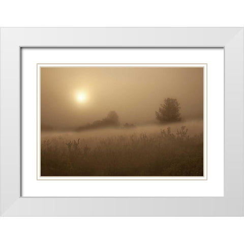 CO, Colorado Springs, Palmer Park Fog over field White Modern Wood Framed Art Print with Double Matting by Grall, Don