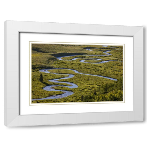 CO, Gunnison NF Uper East Rivers meandering White Modern Wood Framed Art Print with Double Matting by Grall, Don