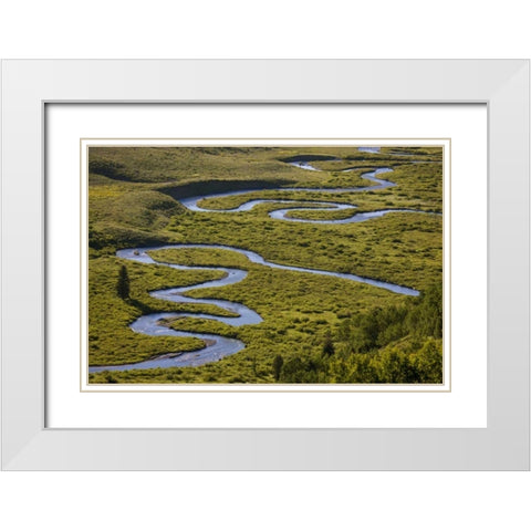 CO, Gunnison NF Uper East Rivers meandering White Modern Wood Framed Art Print with Double Matting by Grall, Don