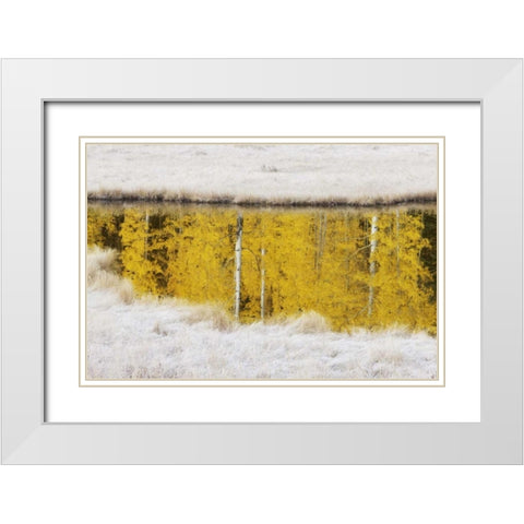 CO, San Juan Mts Autumn sunrise reflection White Modern Wood Framed Art Print with Double Matting by Grall, Don