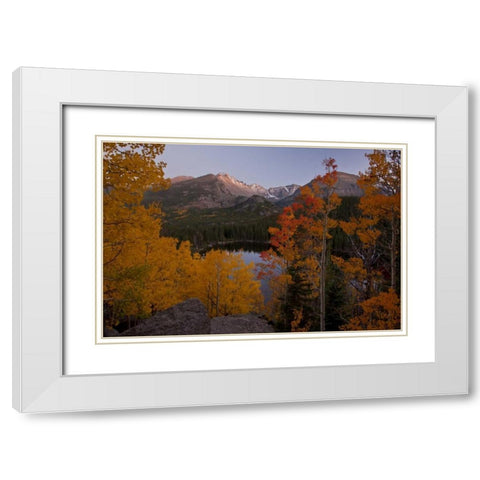 CO, Rocky Mts Aspen trees frame Longs Peak White Modern Wood Framed Art Print with Double Matting by Grall, Don