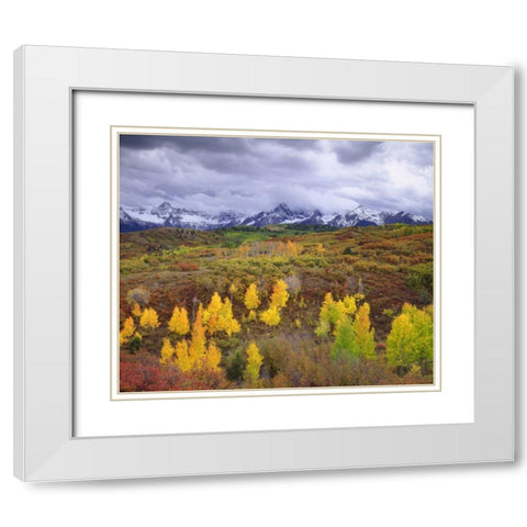 Colorado, Rocky Mountains, Autumn in the Rockies White Modern Wood Framed Art Print with Double Matting by Talbot Frank, Christopher