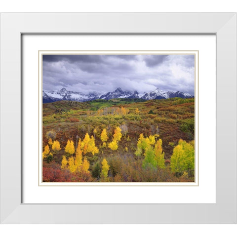 Colorado, Rocky Mountains, Autumn in the Rockies White Modern Wood Framed Art Print with Double Matting by Talbot Frank, Christopher