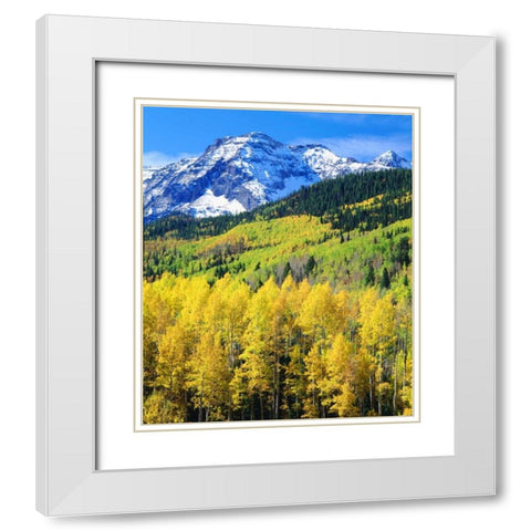Colorado, Rocky Mountains, Autumn in the Rockies White Modern Wood Framed Art Print with Double Matting by Talbot Frank, Christopher