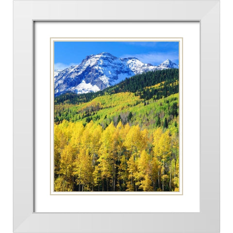 Colorado, Rocky Mountains, Autumn in the Rockies White Modern Wood Framed Art Print with Double Matting by Talbot Frank, Christopher