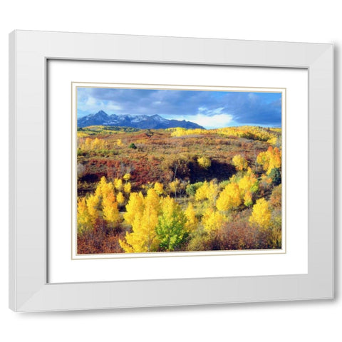 Colorado, Rocky Mountains, Autumn in the Rockies White Modern Wood Framed Art Print with Double Matting by Talbot Frank, Christopher