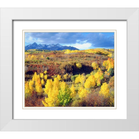 Colorado, Rocky Mountains, Autumn in the Rockies White Modern Wood Framed Art Print with Double Matting by Talbot Frank, Christopher