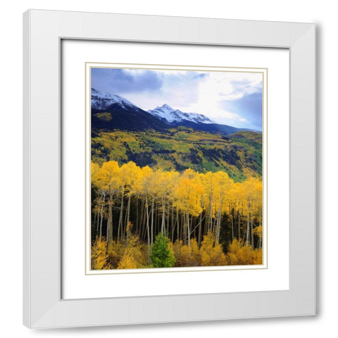 CO, Sunset over Mt Wilson with fall colors White Modern Wood Framed Art Print with Double Matting by Talbot Frank, Christopher