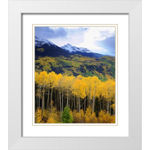 CO, Sunset over Mt Wilson with fall colors White Modern Wood Framed Art Print with Double Matting by Talbot Frank, Christopher