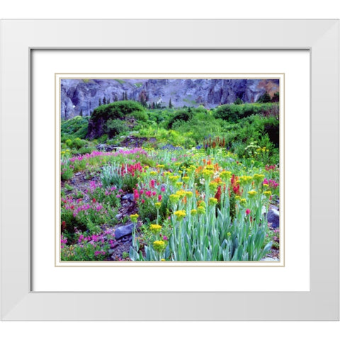 CO, flowers in Yankee Boy Basin in the Rocky Mts White Modern Wood Framed Art Print with Double Matting by Talbot Frank, Christopher