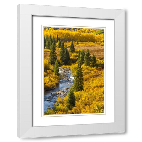 CO, Gunnison NF Autumn color and the East River White Modern Wood Framed Art Print with Double Matting by Illg, Cathy and Gordon
