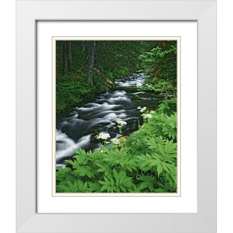 Colorado, White River NF Maroon Creek White Modern Wood Framed Art Print with Double Matting by Flaherty, Dennis