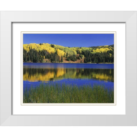 Colorado, Gunnison NF Autumn scenic at Lost Lake White Modern Wood Framed Art Print with Double Matting by Flaherty, Dennis