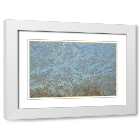 USA, Colorado Frost on window pane White Modern Wood Framed Art Print with Double Matting by Illg, Cathy and Gordon