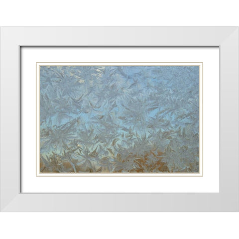 USA, Colorado Frost on window pane White Modern Wood Framed Art Print with Double Matting by Illg, Cathy and Gordon