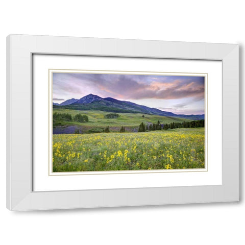 CO, Crested Butte Flowers and mountain White Modern Wood Framed Art Print with Double Matting by Flaherty, Dennis