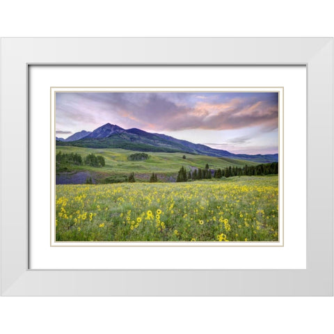 CO, Crested Butte Flowers and mountain White Modern Wood Framed Art Print with Double Matting by Flaherty, Dennis