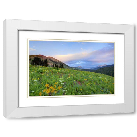CO, Crested Butte Flowers and mountains White Modern Wood Framed Art Print with Double Matting by Flaherty, Dennis