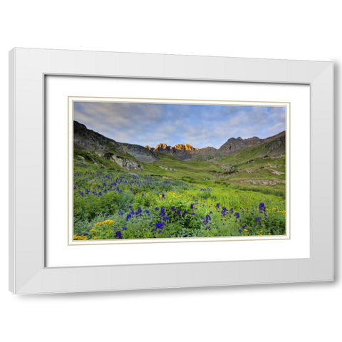 CO, San Juan Mts, Sunrise on flowers White Modern Wood Framed Art Print with Double Matting by Flaherty, Dennis