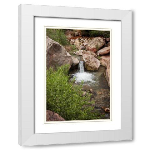 AZ, Grand Canyon, Deer Creek waterfall and pool White Modern Wood Framed Art Print with Double Matting by Grall, Don