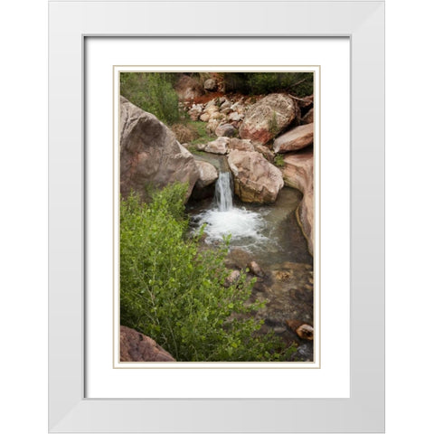 AZ, Grand Canyon, Deer Creek waterfall and pool White Modern Wood Framed Art Print with Double Matting by Grall, Don