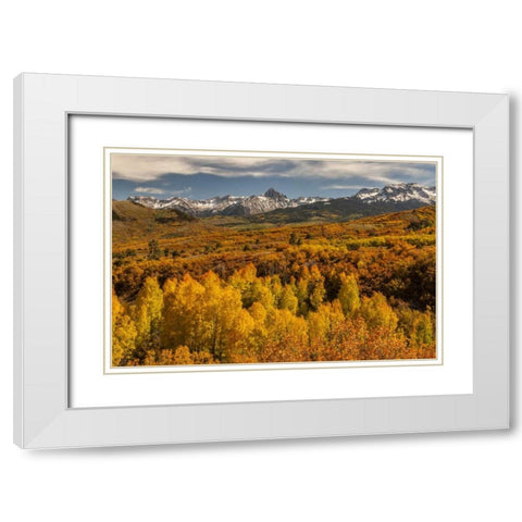Colorado Dallas Divide in San Juan Mountains White Modern Wood Framed Art Print with Double Matting by Illg, Cathy and Gordon
