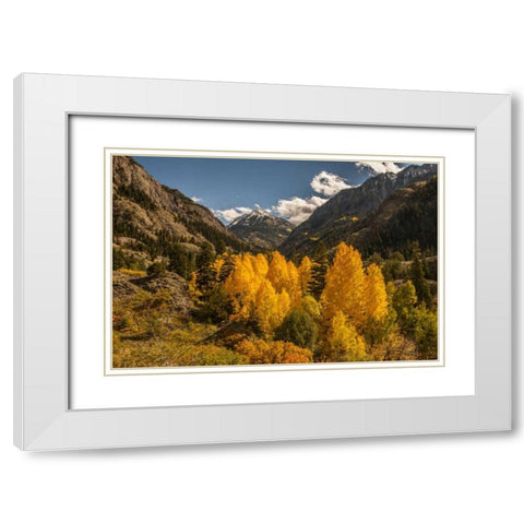Colorado Autumn landscape in San Juan Mountains White Modern Wood Framed Art Print with Double Matting by Illg, Cathy and Gordon