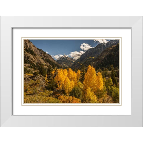Colorado Autumn landscape in San Juan Mountains White Modern Wood Framed Art Print with Double Matting by Illg, Cathy and Gordon