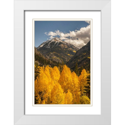 Colorado Autumn landscape in San Juan Mountains White Modern Wood Framed Art Print with Double Matting by Illg, Cathy and Gordon