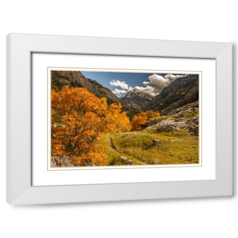 Colorado Autumn landscape in San Juan Mountains White Modern Wood Framed Art Print with Double Matting by Illg, Cathy and Gordon