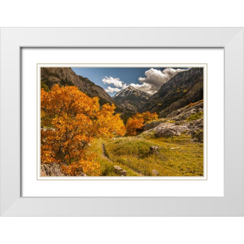 Colorado Autumn landscape in San Juan Mountains White Modern Wood Framed Art Print with Double Matting by Illg, Cathy and Gordon