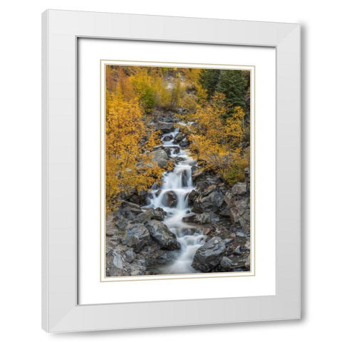 Colorado Cascading creek in San Juan Mountains White Modern Wood Framed Art Print with Double Matting by Illg, Cathy and Gordon