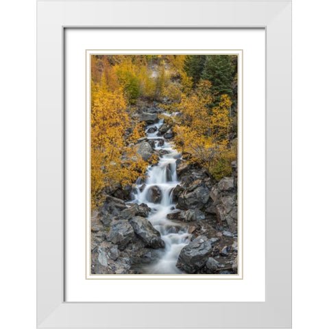 Colorado Cascading creek in San Juan Mountains White Modern Wood Framed Art Print with Double Matting by Illg, Cathy and Gordon