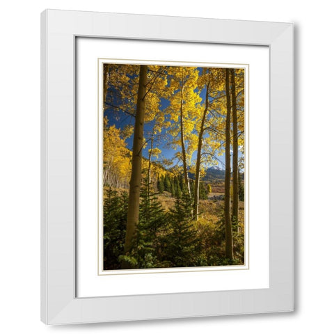 USA, Colorado Landscape in San Juan Mountains White Modern Wood Framed Art Print with Double Matting by Illg, Cathy and Gordon