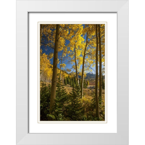 USA, Colorado Landscape in San Juan Mountains White Modern Wood Framed Art Print with Double Matting by Illg, Cathy and Gordon