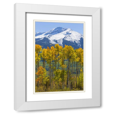 USA, Colorado Fall aspens and mountain White Modern Wood Framed Art Print with Double Matting by Paulson, Don
