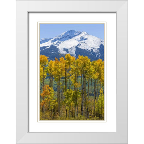 USA, Colorado Fall aspens and mountain White Modern Wood Framed Art Print with Double Matting by Paulson, Don