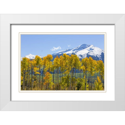 USA, Colorado Fall aspens and mountain White Modern Wood Framed Art Print with Double Matting by Paulson, Don