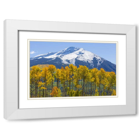 Colorado Fall aspens and mountain White Modern Wood Framed Art Print with Double Matting by Paulson, Don