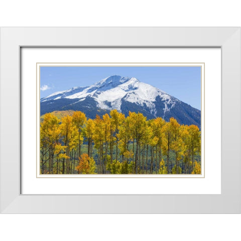Colorado Fall aspens and mountain White Modern Wood Framed Art Print with Double Matting by Paulson, Don
