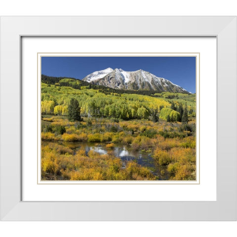 CO, East Beckwith Mountain Mountain and forest White Modern Wood Framed Art Print with Double Matting by Paulson, Don
