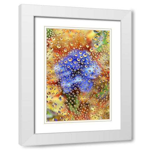 Colorado, Lafayette Abstract Water bubbles White Modern Wood Framed Art Print with Double Matting by Bush, Marie