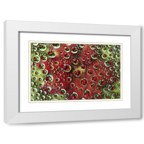 Colorado, Lafayette Abstract Water bubbles White Modern Wood Framed Art Print with Double Matting by Bush, Marie
