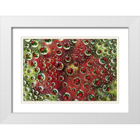Colorado, Lafayette Abstract Water bubbles White Modern Wood Framed Art Print with Double Matting by Bush, Marie